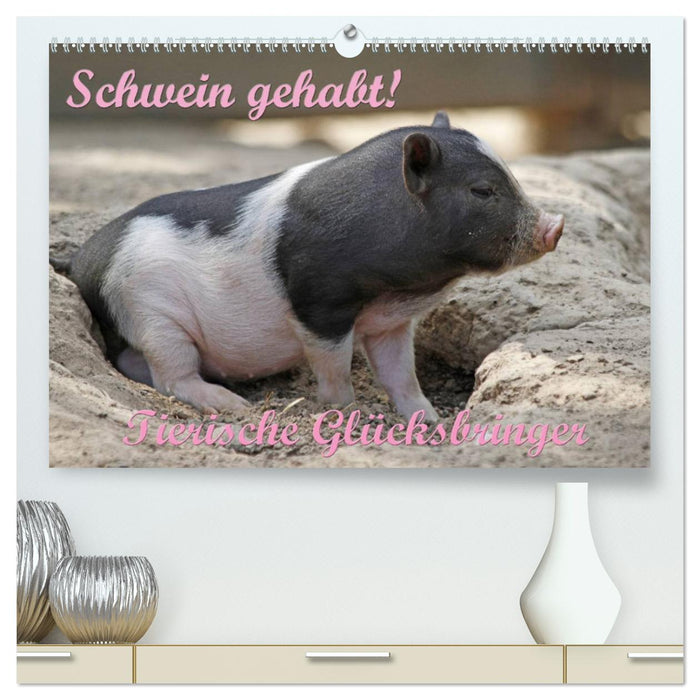 Schwein gehabt! (CALVENDO Premium Wandkalender 2024)