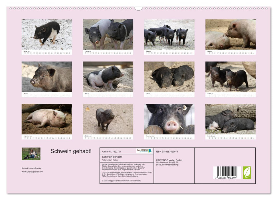 Schwein gehabt! (CALVENDO Premium Wandkalender 2024)