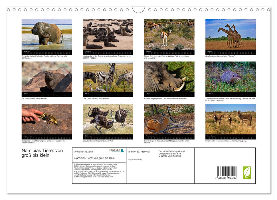 Namibias Tiere: von groß bis klein (CALVENDO Wandkalender 2024)