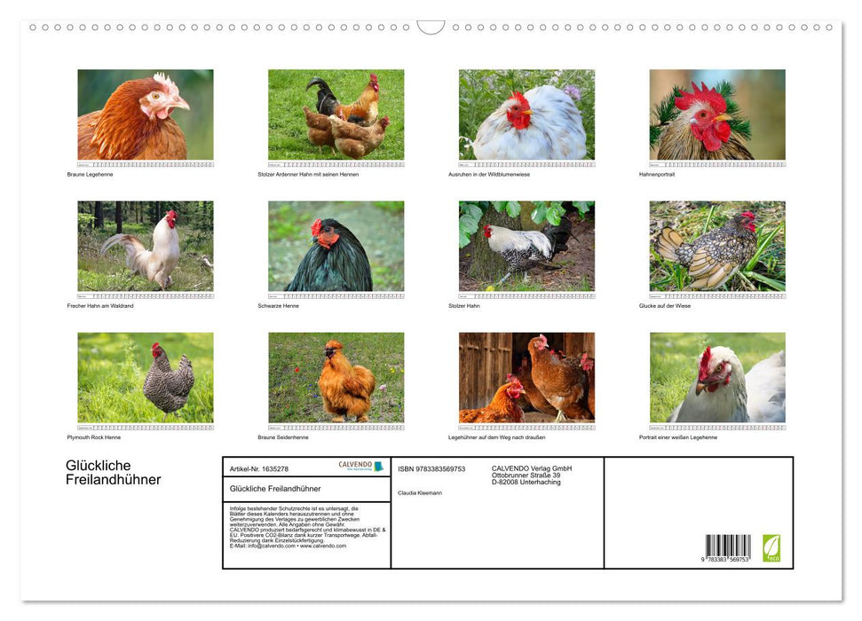 Happy free-range chickens (CALVENDO wall calendar 2024) 