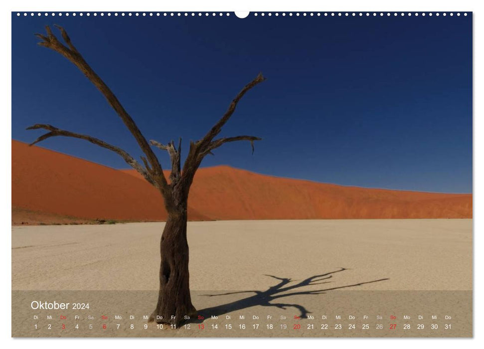 Afrikanische Bäume (CALVENDO Premium Wandkalender 2024)