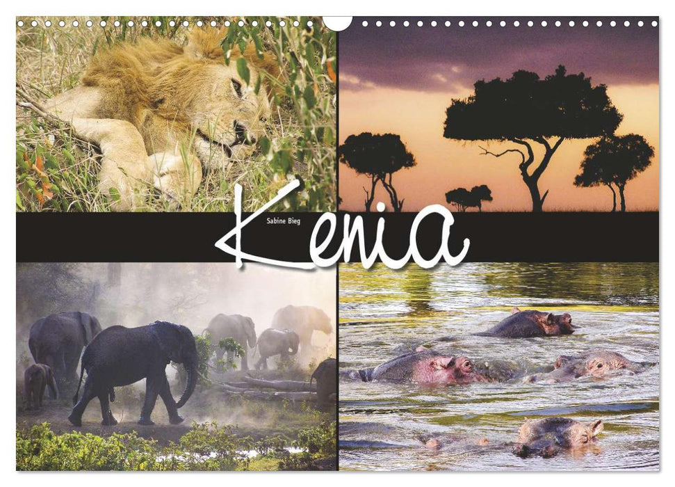 Kenya (Calendrier mural CALVENDO 2024) 