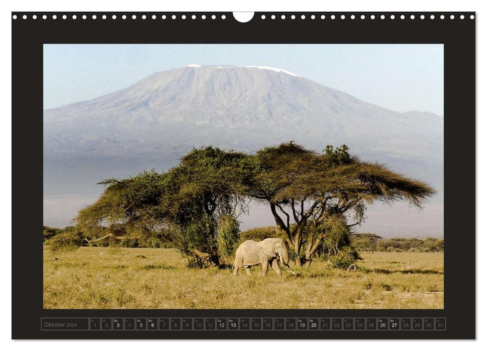 Kenya (Calendrier mural CALVENDO 2024) 