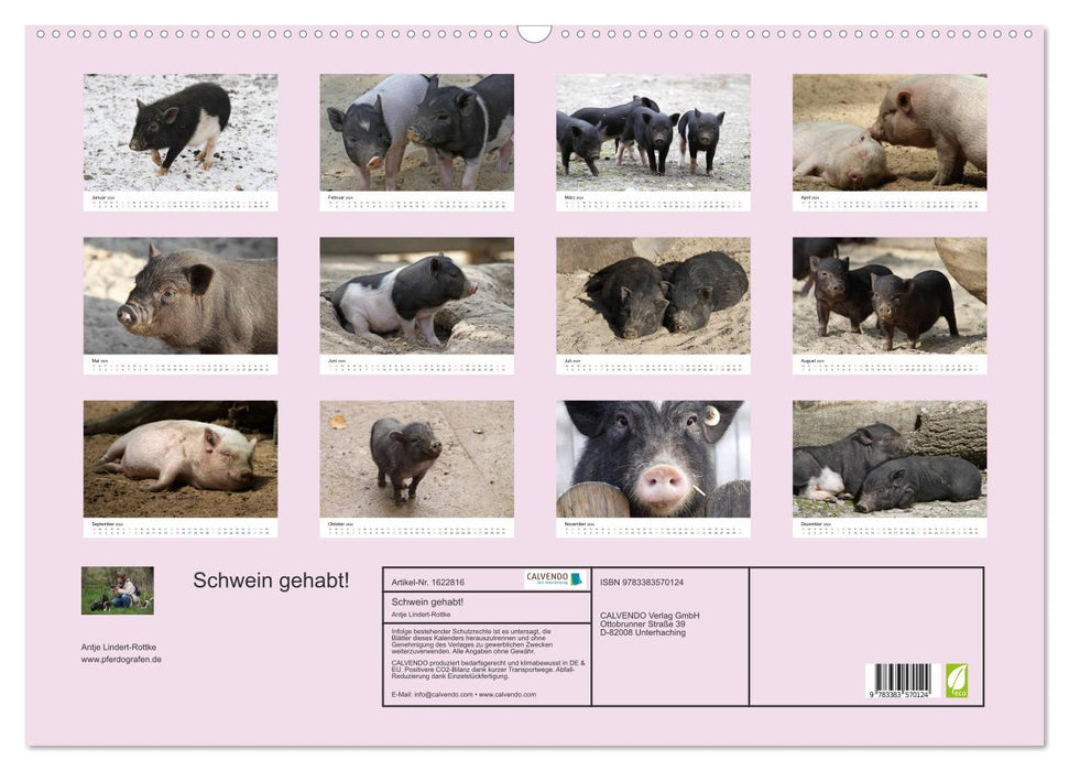 Schwein gehabt! (CALVENDO Wandkalender 2024)