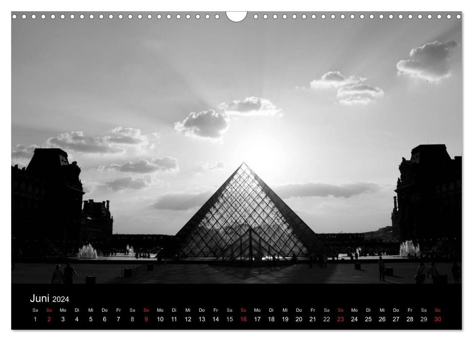 BLACK 'N WHITE (CALVENDO Wandkalender 2024)