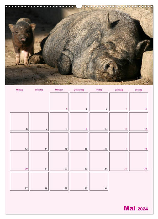 Planificateur de rendez-vous Pigish (Calendrier mural CALVENDO Premium 2024) 