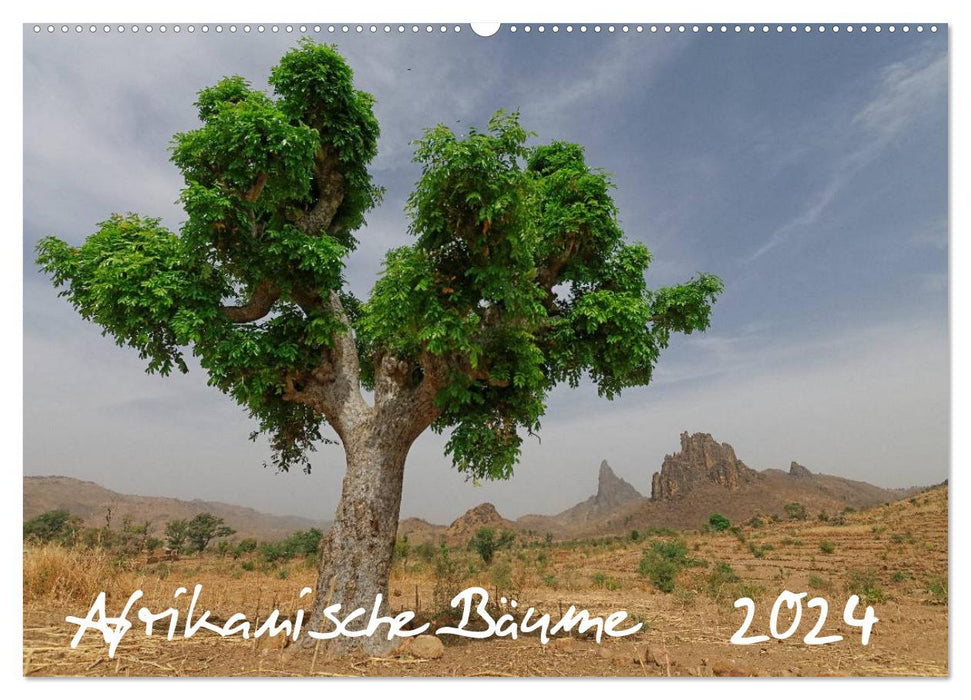 Afrikanische Bäume (CALVENDO Wandkalender 2024)