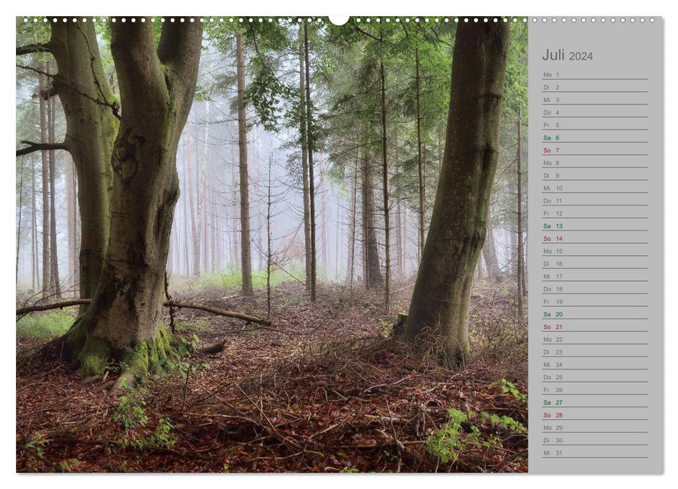 Calendrier de planification forêt de contes de fées 2024 (calendrier mural CALVENDO Premium 2024) 