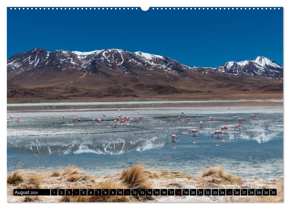 Bolivien Andenlandschaften "CH-Version" (CALVENDO Premium Wandkalender 2024)