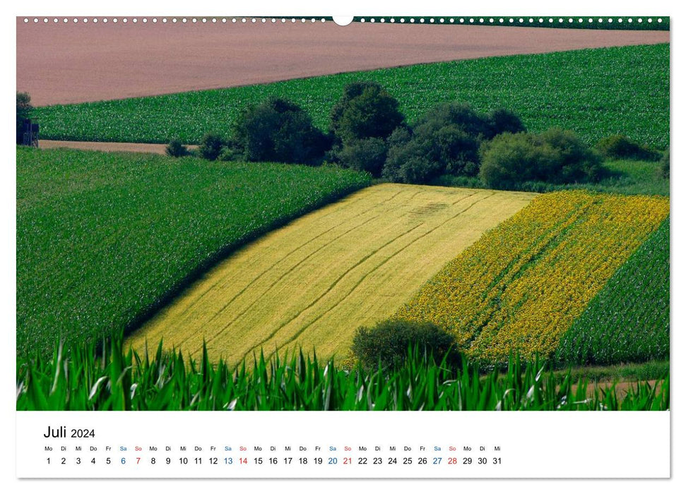 Felder und Wiesen (CALVENDO Wandkalender 2024)