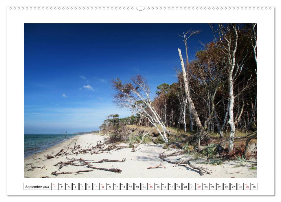 Die Ostseeküste (CALVENDO Wandkalender 2024)