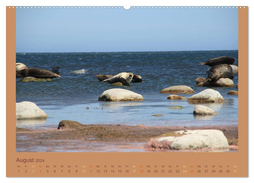 Sud de la Suède (Calvendo Premium Wall Calendar 2024) 
