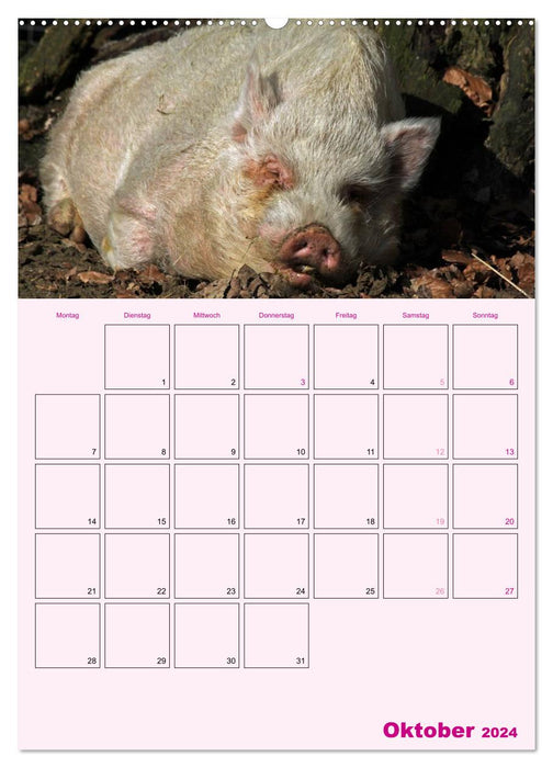 Schweinischer Terminplaner (CALVENDO Wandkalender 2024)