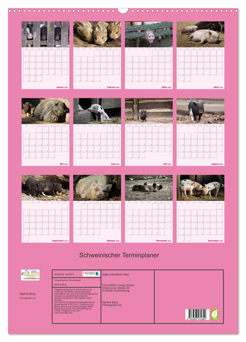 Planificateur d'horaires pour cochons (calendrier mural CALVENDO 2024) 
