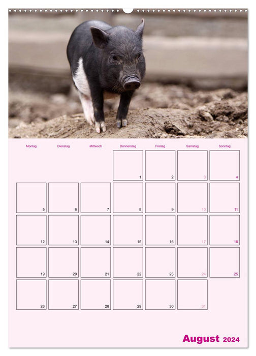 Schweinischer Terminplaner (CALVENDO Wandkalender 2024)