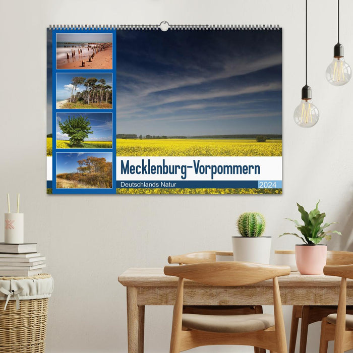 Mecklenburg-Western Pomerania (CALVENDO wall calendar 2024) 