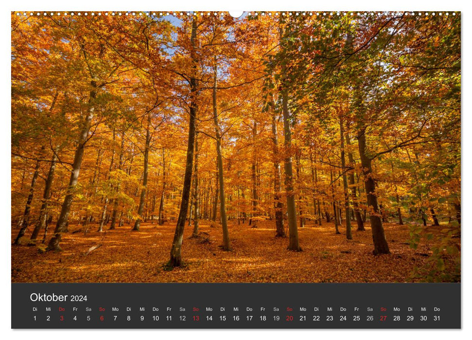 Mecklenburg-Western Pomerania (CALVENDO wall calendar 2024) 