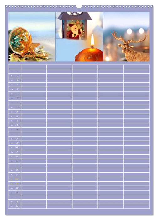 TRIPLETTS - Le planificateur familial sophistiqué (Calvendo Premium Wall Calendar 2024) 