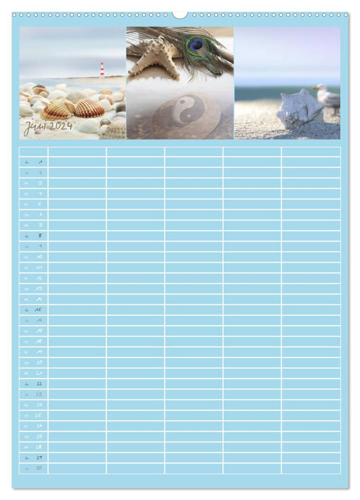 TRIPLETTS - Der anspruchsvolle Familienplaner (CALVENDO Premium Wandkalender 2024)