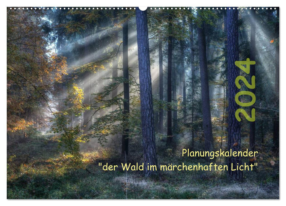 Planungskalender Märchenwald 2024 (CALVENDO Wandkalender 2024)