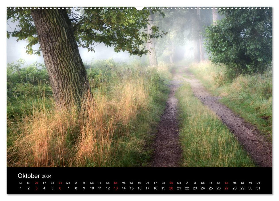 Waldkalender (CALVENDO Premium Wandkalender 2024)