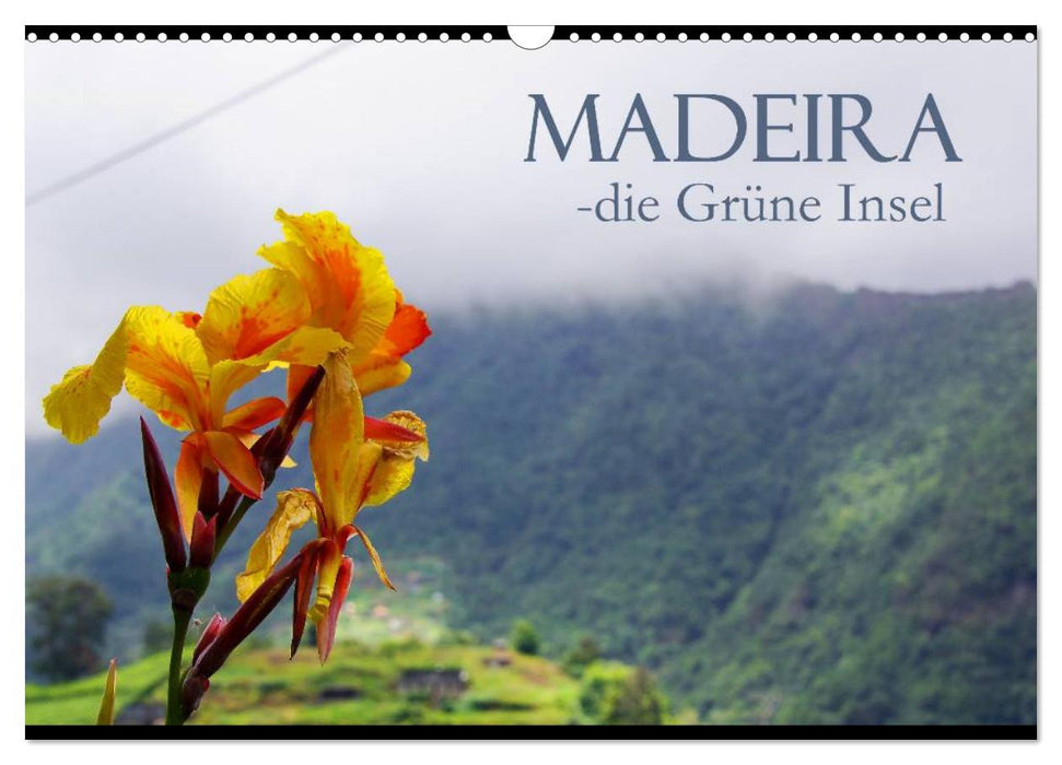 Madeira die Grüne Insel (CALVENDO Wandkalender 2024)