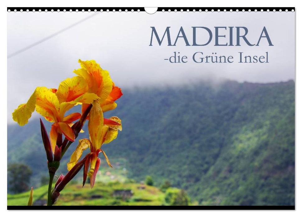 Madeira the Green Island (CALVENDO wall calendar 2024) 