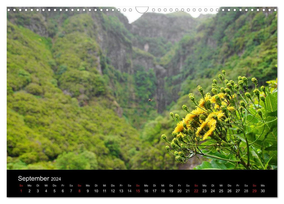 Madeira die Grüne Insel (CALVENDO Wandkalender 2024)