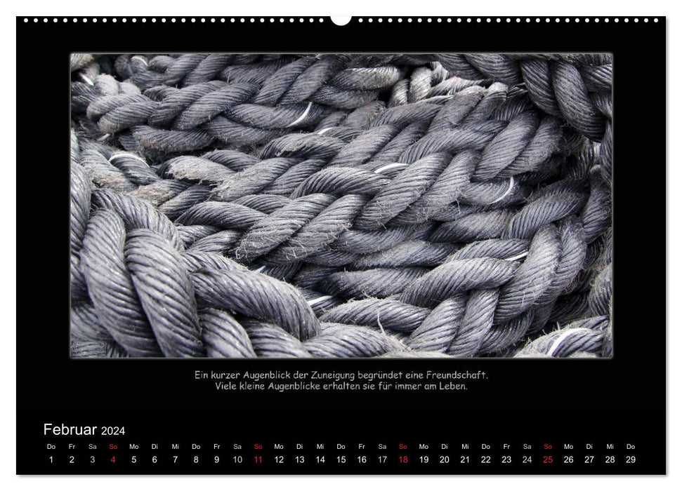 Friendship (CALVENDO Premium Wall Calendar 2024) 