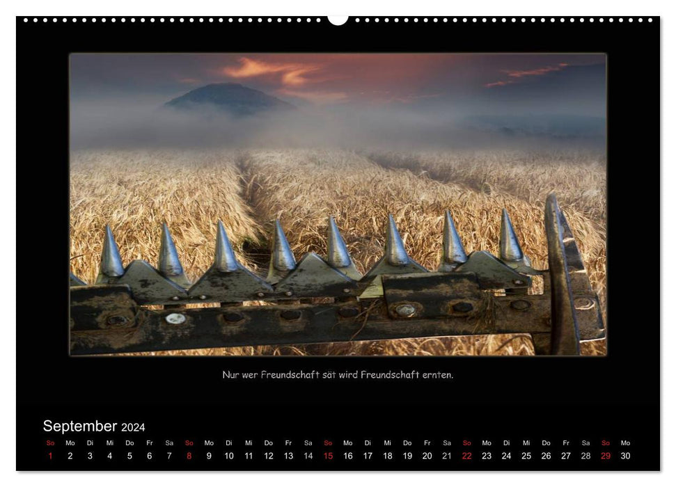 Friendship (CALVENDO Premium Wall Calendar 2024) 