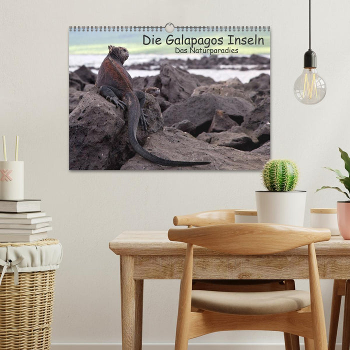 Les îles Galapagos – Le paradis naturel (Calendrier mural CALVENDO 2024) 