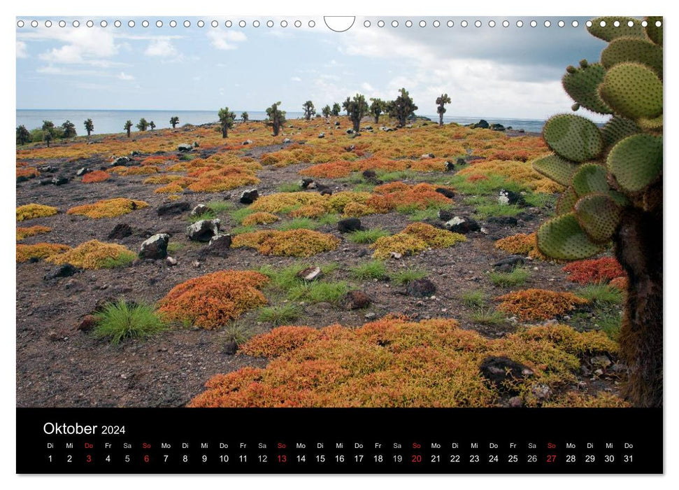 Die Galapagos Inseln - Das Naturparadies (CALVENDO Wandkalender 2024)