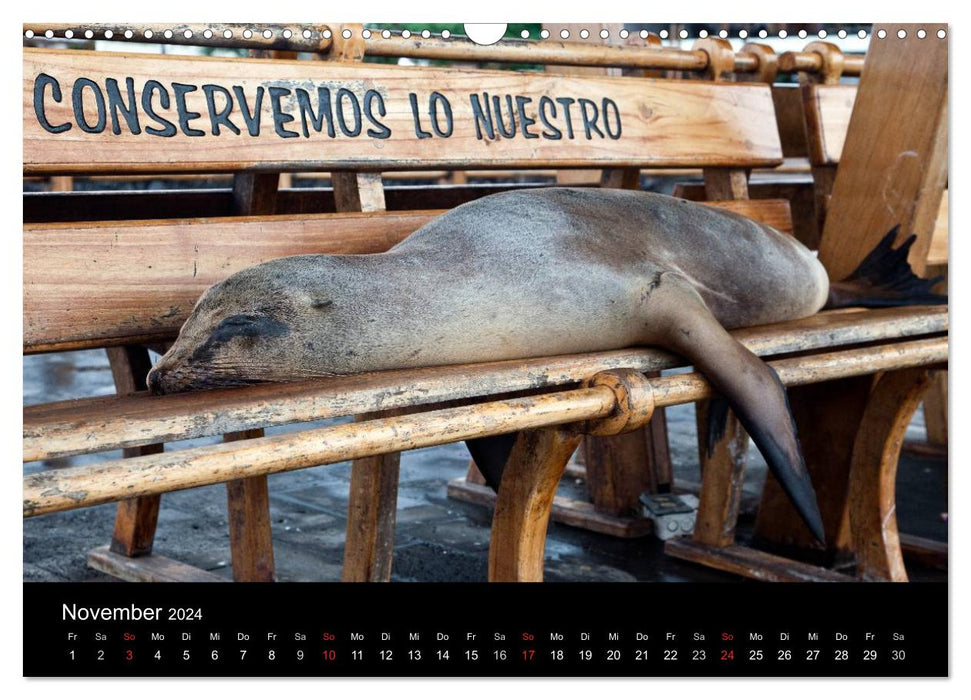 The Galapagos Islands - The Natural Paradise (CALVENDO Wall Calendar 2024) 