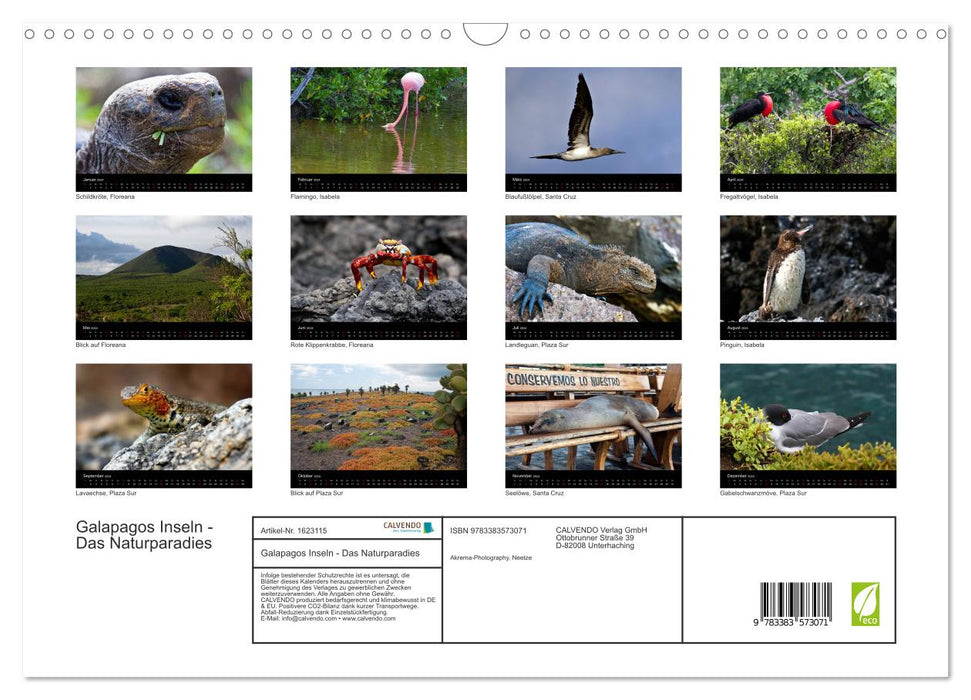 The Galapagos Islands - The Natural Paradise (CALVENDO Wall Calendar 2024) 