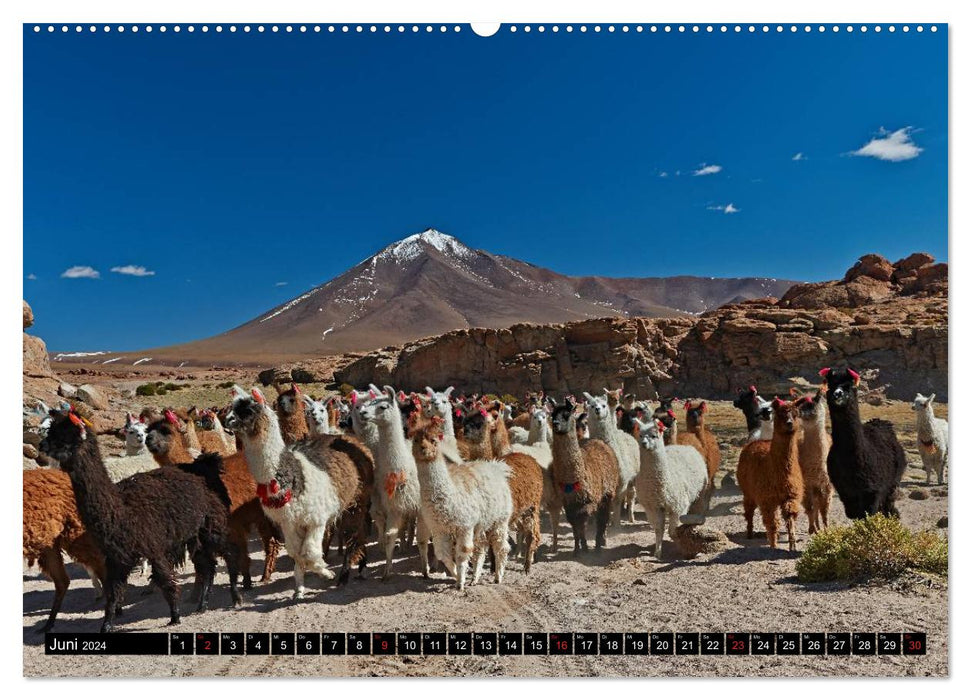 Bolivien Andenlandschaften (CALVENDO Premium Wandkalender 2024)