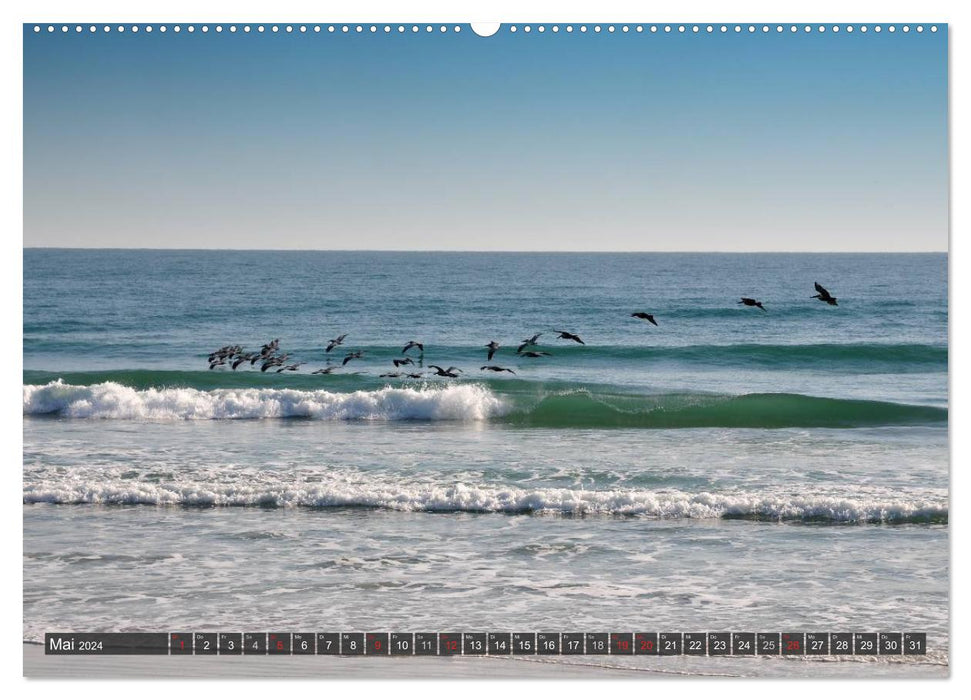 I want sea ! (CALVENDO Premium Wall Calendar 2024) 