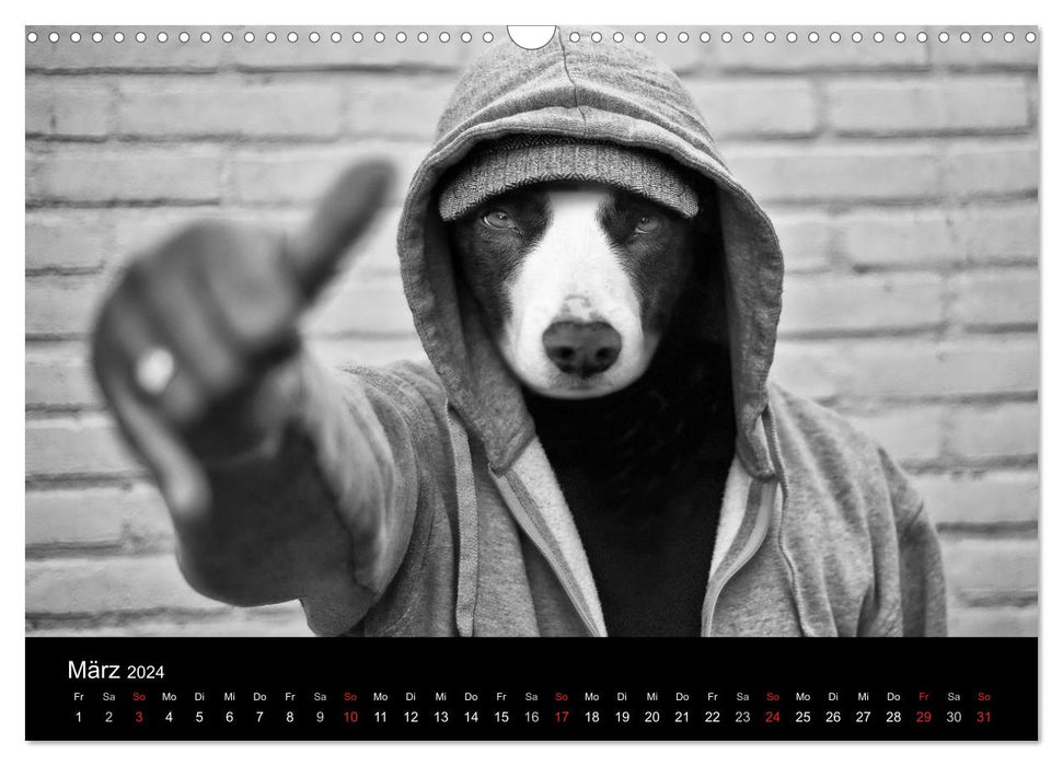 Hütehunde (CALVENDO Wandkalender 2024)