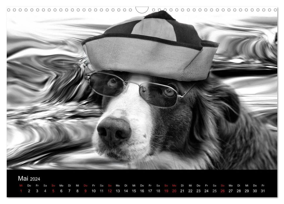 Hütehunde (CALVENDO Wandkalender 2024)