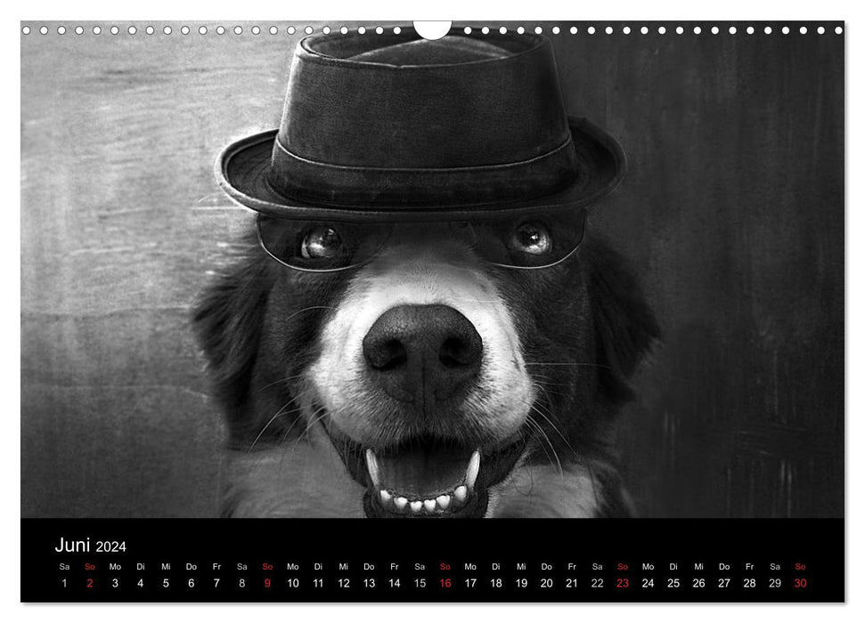 Hütehunde (CALVENDO Wandkalender 2024)