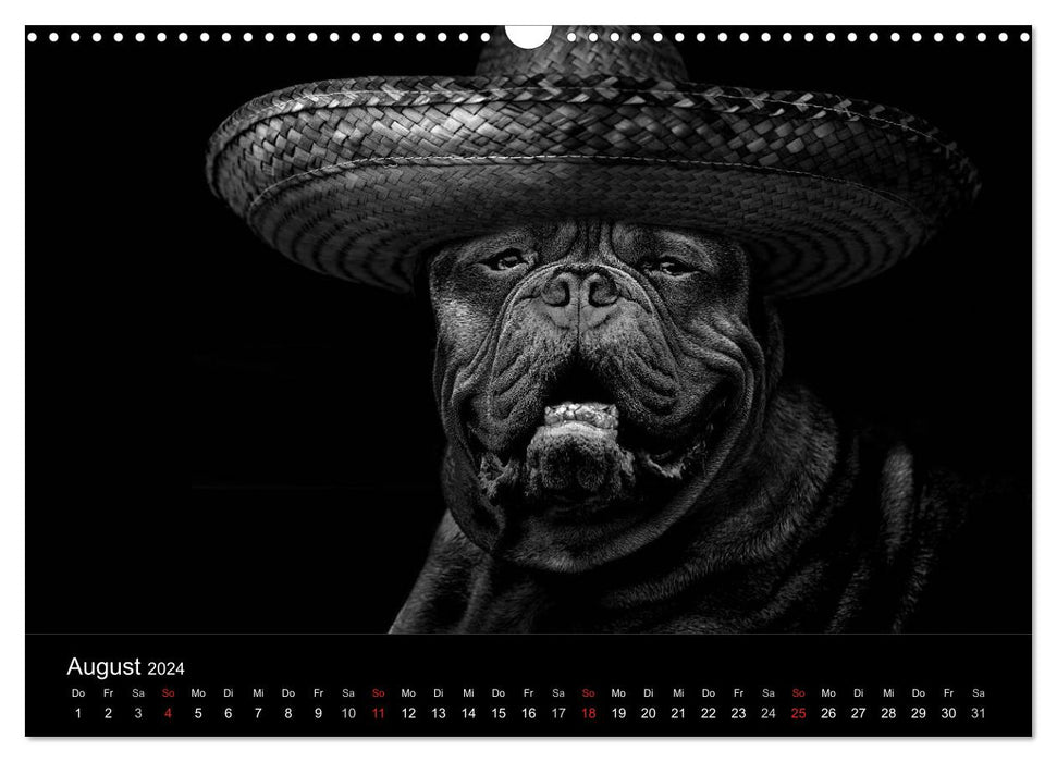 Herding dogs (CALVENDO wall calendar 2024) 