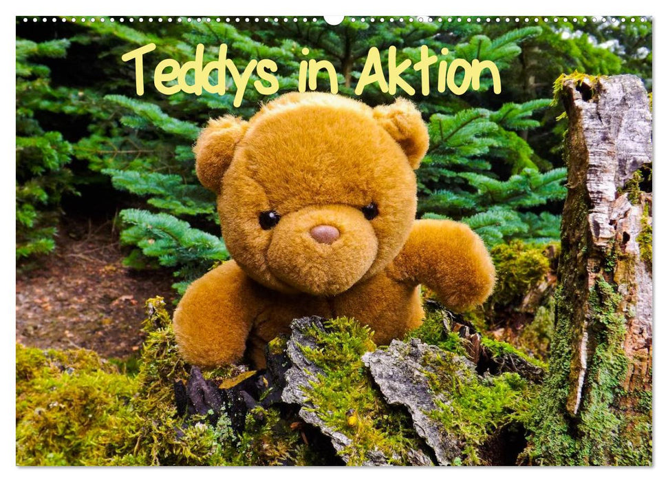 Teddys in Aktion (CALVENDO Wandkalender 2024)