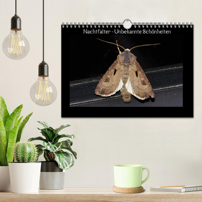 Moths - Unknown Beauties (CALVENDO Wall Calendar 2024) 