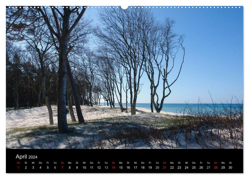 À la mer Baltique (Calvendo Premium Wall Calendar 2024) 