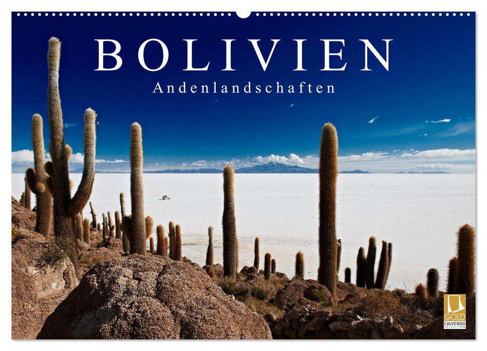 Paysages andins de Bolivie (Calendrier mural CALVENDO 2024) 