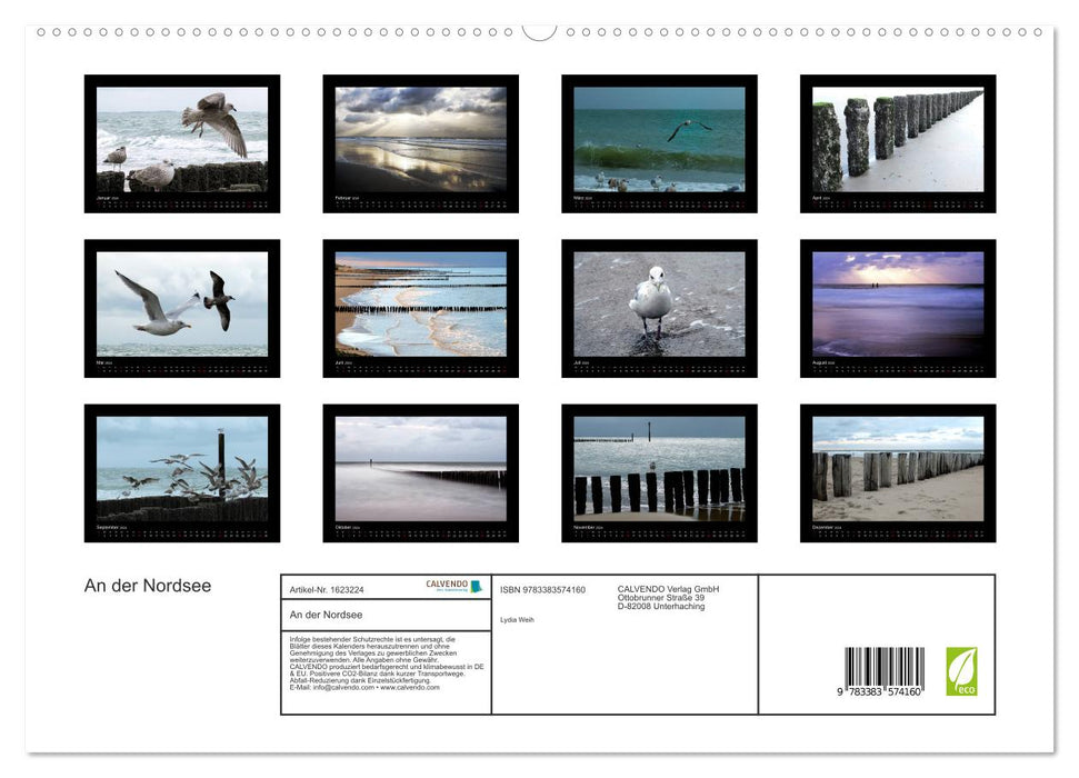 An der Nordsee (CALVENDO Premium Wandkalender 2024)