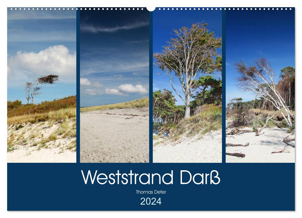 Weststrand Darß (CALVENDO wall calendar 2024) 