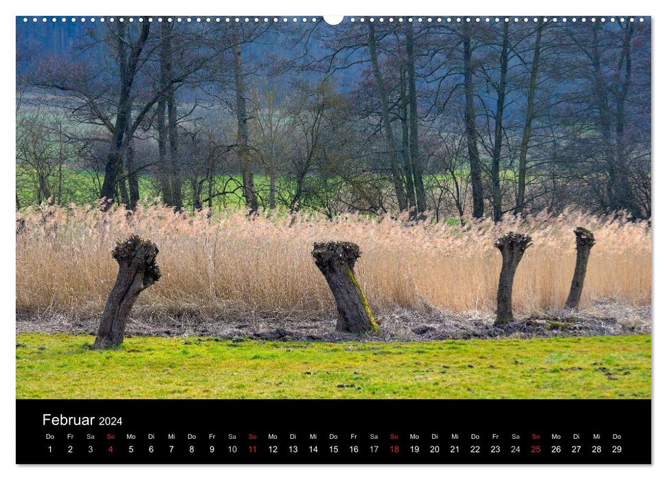 Arbres 2024 (Calendrier mural CALVENDO Premium 2024) 