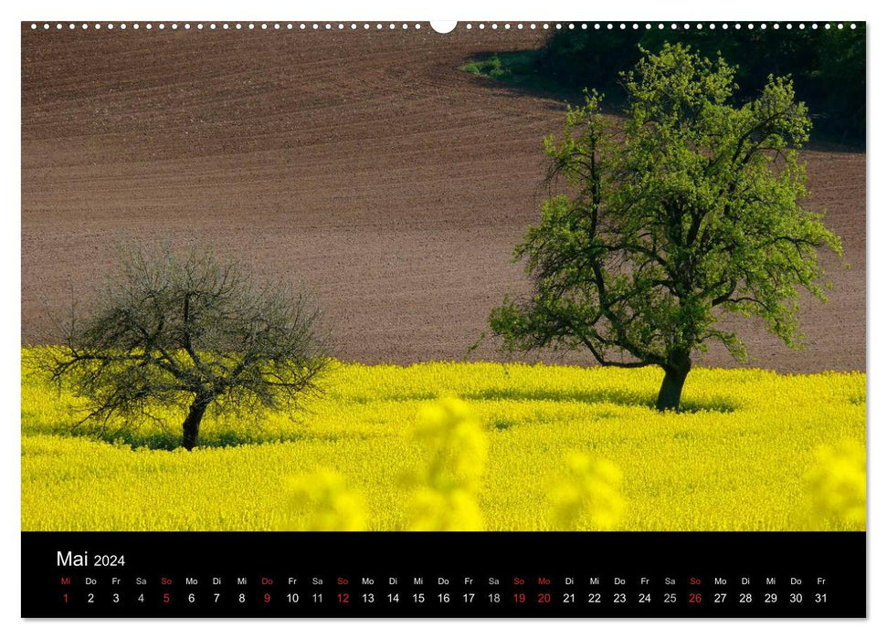 Arbres 2024 (Calendrier mural CALVENDO Premium 2024) 