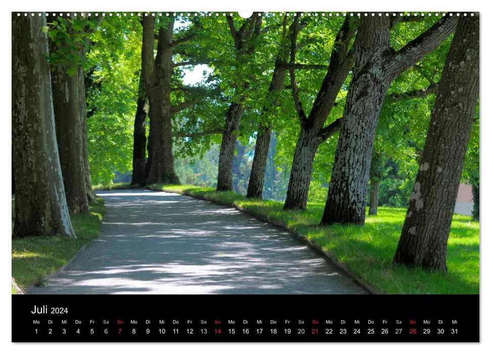 Arbres 2024 (Calendrier mural CALVENDO Premium 2024) 