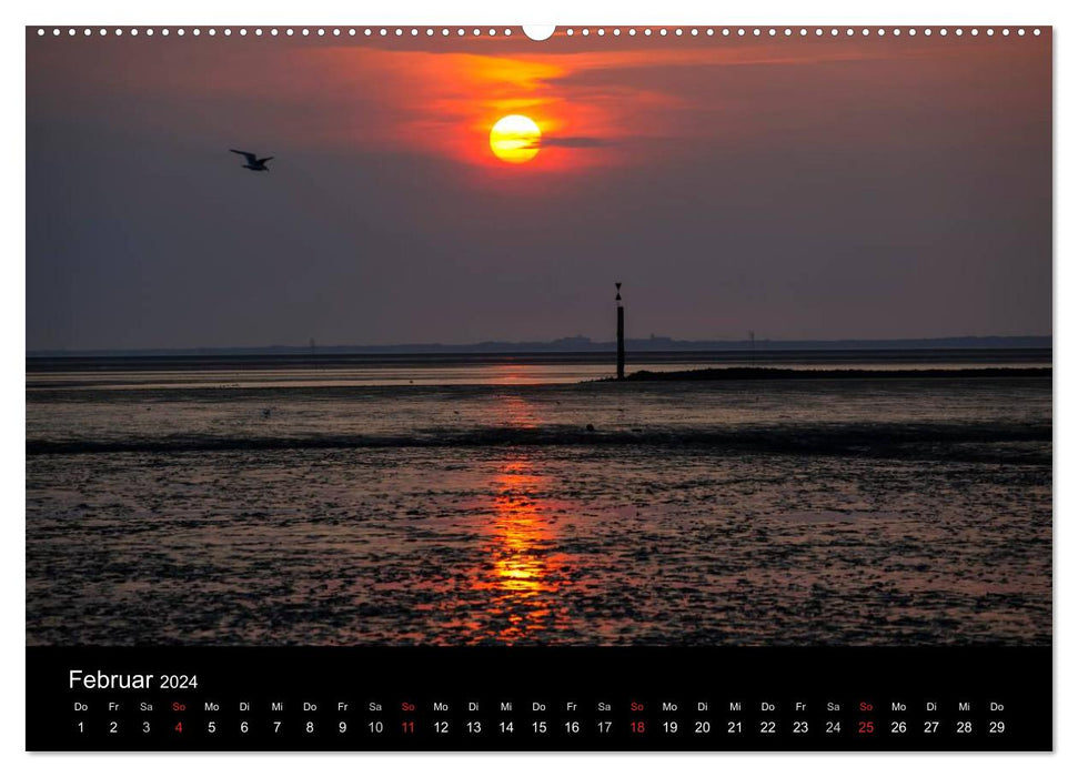 Wattenmeer (CALVENDO Premium Wandkalender 2024)